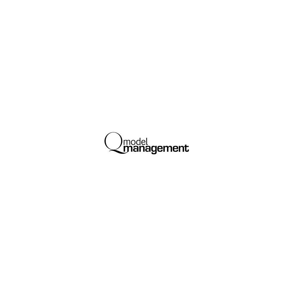 Q Model Management